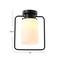 Hello Honey® Robert Stevenson Lighting Ezra Metal & Frosted Glass Convertible Ceiling Light